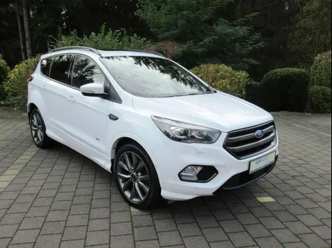 Used FORD KUGA Diesel 2019 Ad 