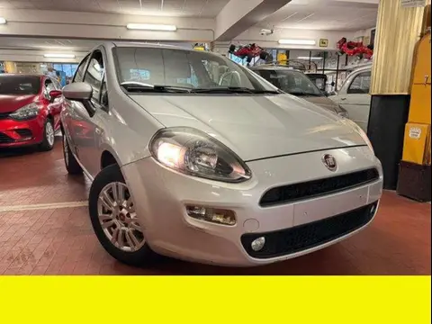 Annonce FIAT PUNTO Essence 2015 d'occasion 