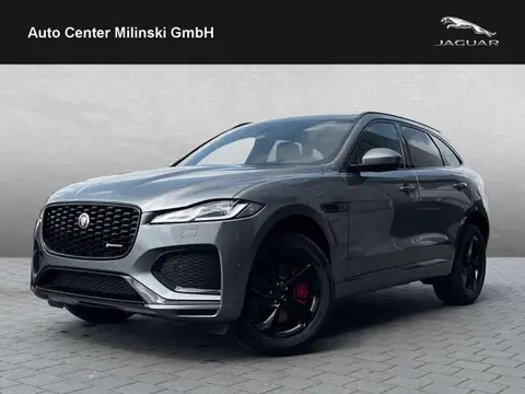 Used JAGUAR F-PACE Hybrid 2024 Ad 