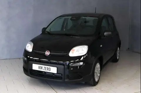 Annonce FIAT PANDA Hybride 2024 d'occasion 