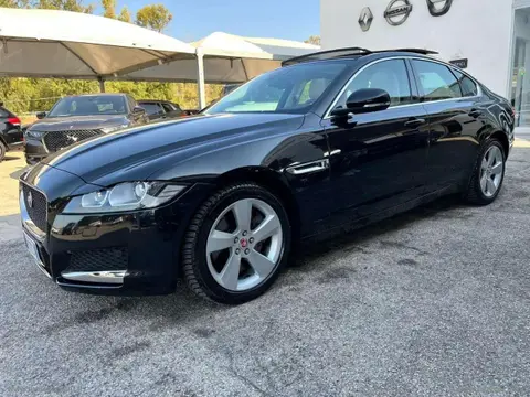 Used JAGUAR XF Diesel 2018 Ad 