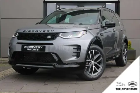 Used LAND ROVER DISCOVERY Hybrid 2024 Ad 