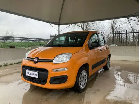 Used FIAT PANDA Petrol 2019 Ad 