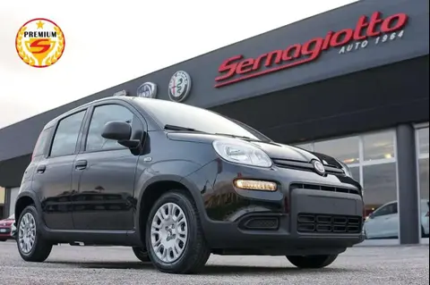 Used FIAT PANDA Hybrid 2024 Ad 