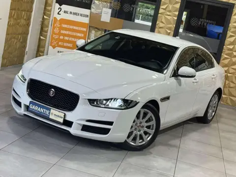 Used JAGUAR XE Diesel 2018 Ad 