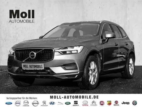 Annonce VOLVO XC60 Diesel 2019 d'occasion 