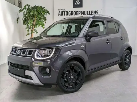 Used SUZUKI IGNIS Hybrid 2024 Ad 