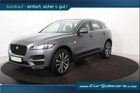 Used JAGUAR F-PACE Petrol 2019 Ad 