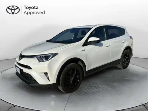 Used TOYOTA RAV4 Hybrid 2019 Ad 