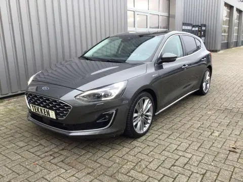 Used FORD FOCUS Diesel 2019 Ad 