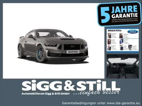 Used FORD MUSTANG Petrol 2024 Ad Germany