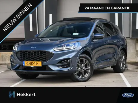 Annonce FORD KUGA Hybride 2022 d'occasion 