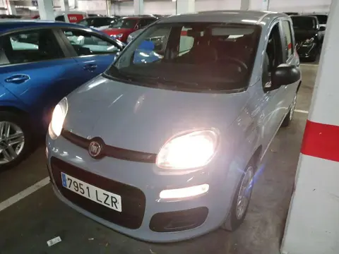 Used FIAT PANDA Hybrid 2022 Ad 