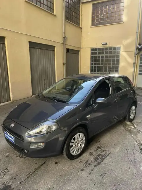 Used FIAT PUNTO Petrol 2017 Ad 