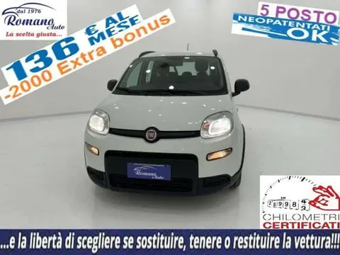 Annonce FIAT PANDA Hybride 2022 d'occasion 