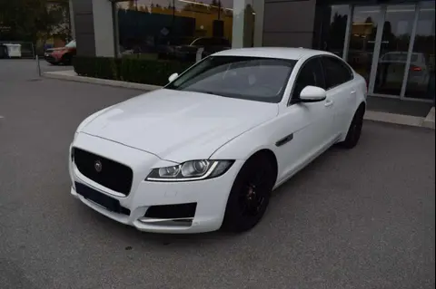 Used JAGUAR XF Diesel 2016 Ad 