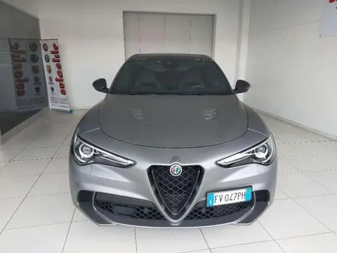 Used ALFA ROMEO STELVIO Petrol 2019 Ad 