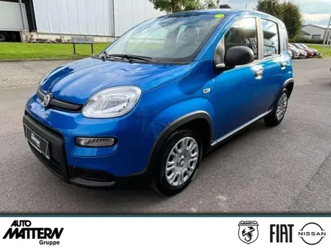 Annonce FIAT PANDA Essence 2024 d'occasion 