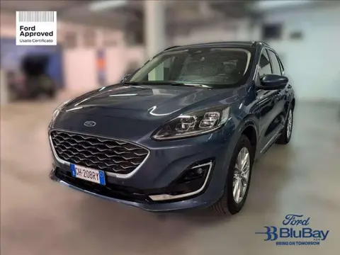 Used FORD KUGA Petrol 2022 Ad 