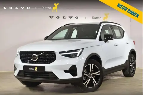 Used VOLVO XC40 Hybrid 2024 Ad 