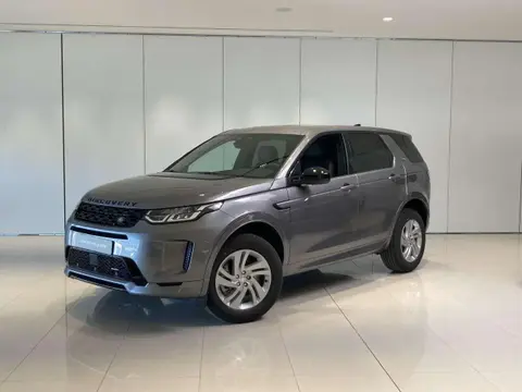 Annonce LAND ROVER DISCOVERY Diesel 2022 d'occasion 