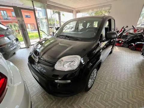 Annonce FIAT PANDA Hybride 2024 d'occasion 