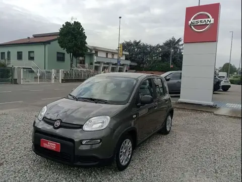 Annonce FIAT PANDA Hybride 2023 d'occasion 