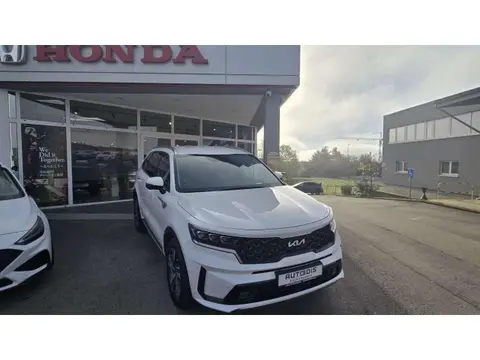 Annonce KIA SORENTO Hybride 2023 d'occasion 