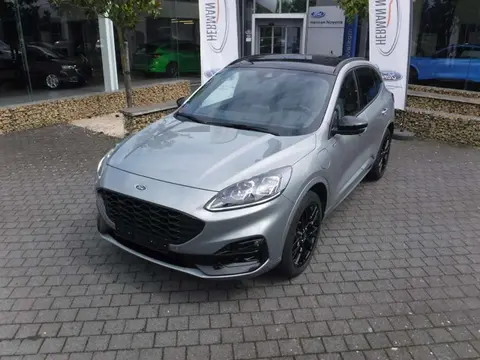 Used FORD KUGA Hybrid 2023 Ad Belgium