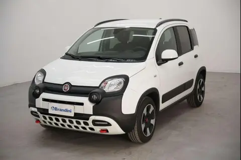 Used FIAT PANDA Hybrid 2024 Ad 