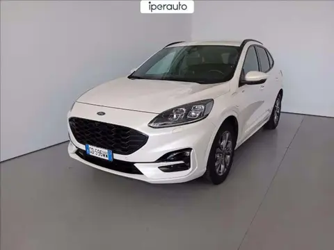 Annonce FORD KUGA Hybride 2021 d'occasion 