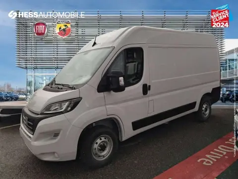 Annonce FIAT DUCATO Diesel 2024 d'occasion 