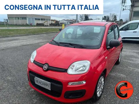 Annonce FIAT PANDA Hybride 2021 d'occasion 