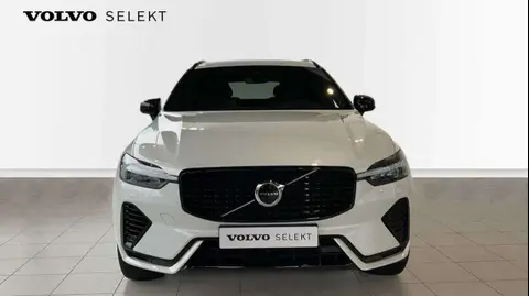 Annonce VOLVO XC60 Essence 2023 d'occasion Belgique