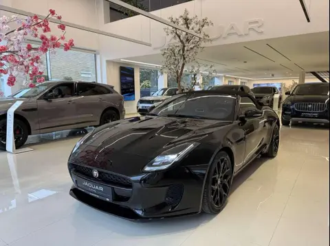 Annonce JAGUAR F-TYPE Essence 2019 d'occasion 