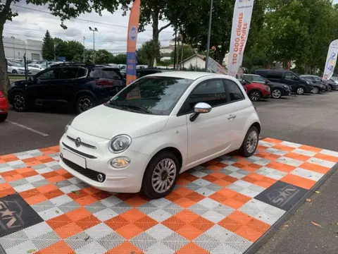 Used FIAT 500 Petrol 2023 Ad 