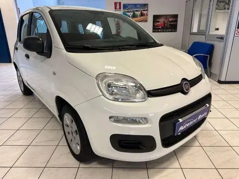 Annonce FIAT PANDA Essence 2019 d'occasion 