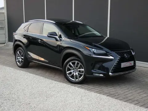 Annonce LEXUS NX Hybride 2019 d'occasion 