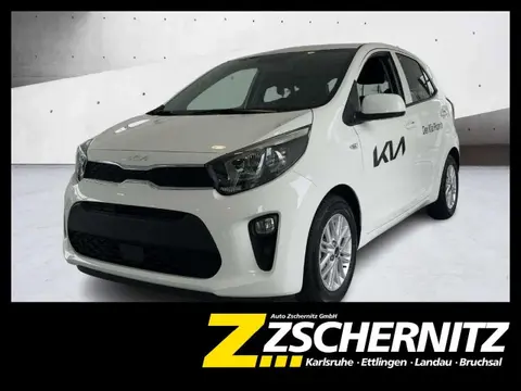 Used KIA PICANTO Petrol 2024 Ad 