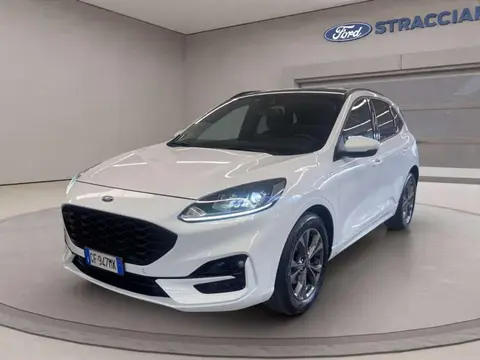 Annonce FORD KUGA Diesel 2021 d'occasion 