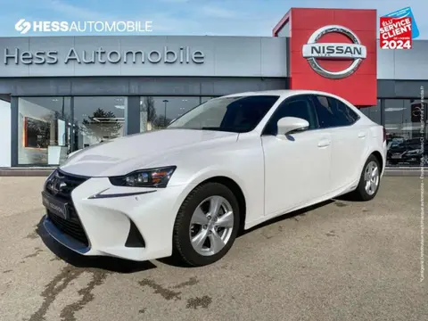 Used LEXUS IS Hybrid 2019 Ad 