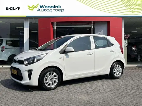 Annonce KIA PICANTO Essence 2019 d'occasion 