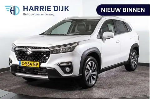 Annonce SUZUKI S-CROSS Hybride 2022 d'occasion 