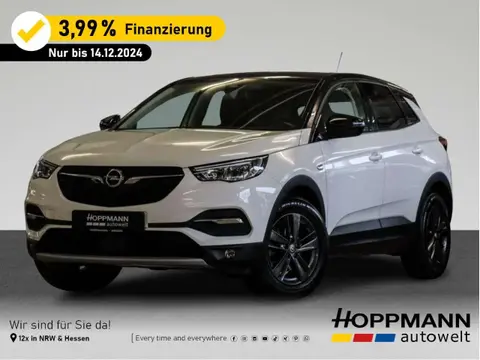 Used OPEL GRANDLAND Petrol 2021 Ad 