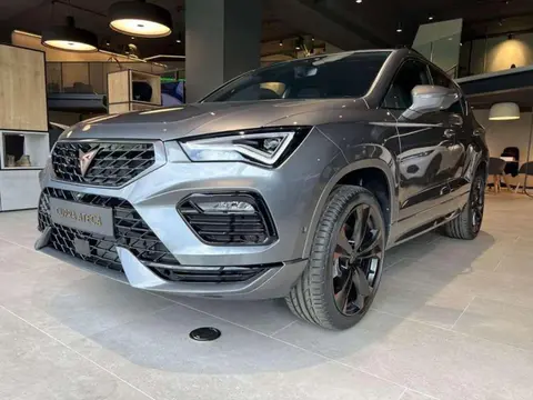 Annonce CUPRA ATECA Essence 2024 d'occasion 