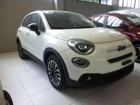 Used FIAT 500X Petrol 2023 Ad 