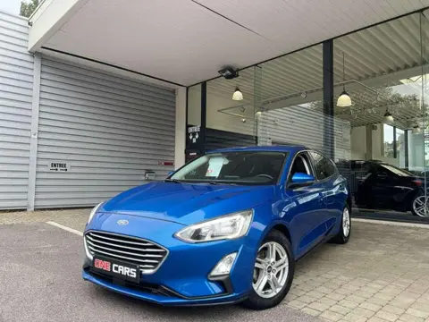 Annonce FORD FOCUS Diesel 2019 d'occasion Belgique