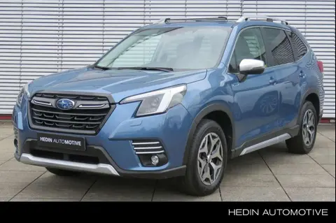 Annonce SUBARU FORESTER Hybride 2023 d'occasion 