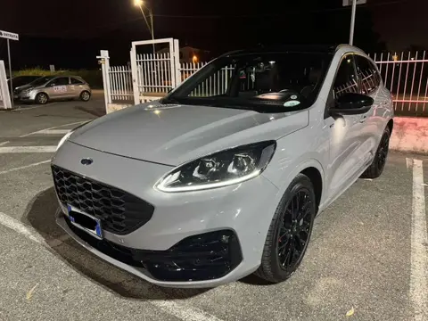 Annonce FORD KUGA Hybride 2023 d'occasion 