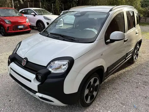 Used FIAT PANDA Hybrid 2024 Ad 